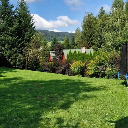 Domki Pod Kiczera W Baligrodzie, Bieszczady Dış mekan fotoğraf
